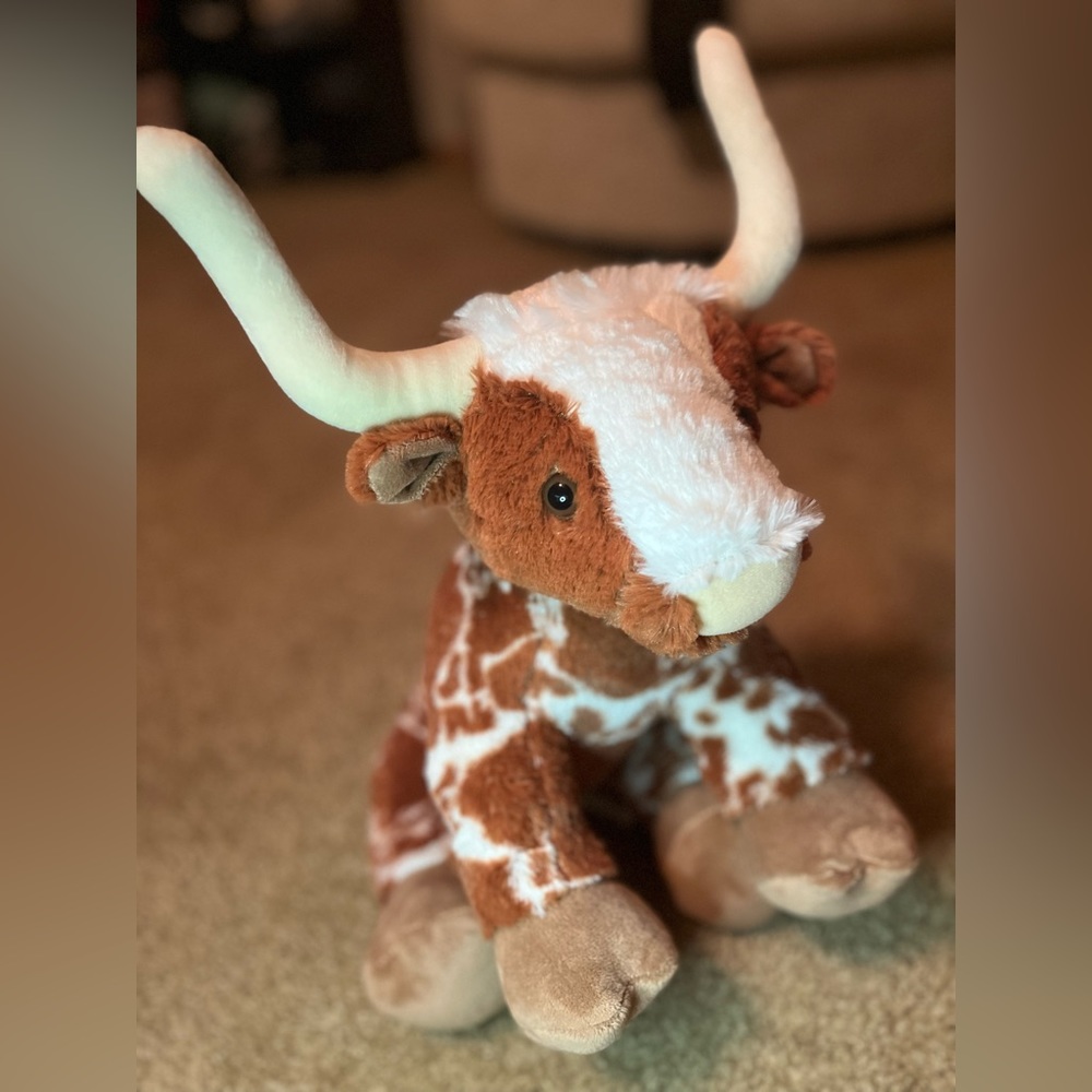 LONGHORN Build a Bear from the Mall of America.